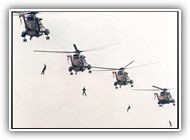 Seaking BAF RS01, RS02, RS04 & RS05